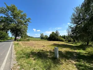 Prodej pozemku pro bydlení, Horní Planá, 3046 m2