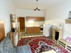 Pronájem bytu 1+kk, Praha, Na výsledku I, 31 m2