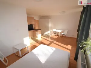 Pronájem bytu 1+kk, Praha - Smíchov, Nad Palatou, 27 m2