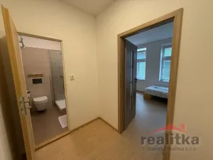 Pronájem bytu 1+kk, Opava, Pekařská, 24 m2