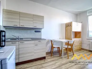 Pronájem bytu 1+kk, Hradec Králové - Nový Hradec Králové, Brožíkova, 22 m2