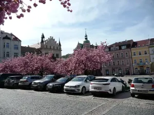 Prodej bytu 1+kk, Děčín, Pohraniční, 20 m2