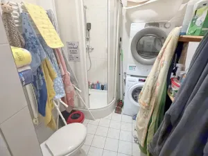 Pronájem bytu 2+kk, Praha - Žižkov, Baranova, 53 m2