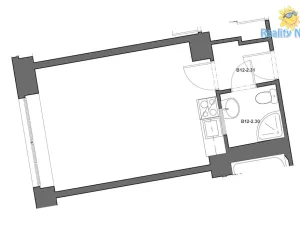 Pronájem bytu 1+kk, Praha - Žižkov, Baranova, 24 m2