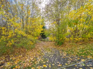 Prodej pozemku pro bydlení, Dolní Rychnov, 1569 m2