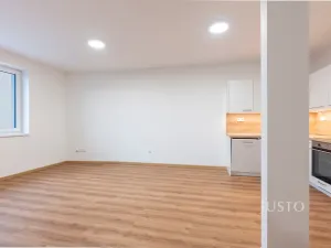 Pronájem bytu 3+kk, Staré Město, Hradišťská, 76 m2