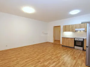Pronájem bytu 1+kk, Praha - Kamýk, Mariánská, 31 m2