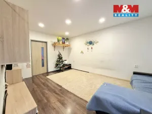 Prodej bytu 2+1, Habartov, Raisova, 55 m2