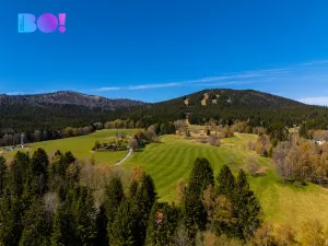 Prodej pozemku pro bydlení, Železná Ruda - Špičák, 2509 m2