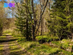 Prodej pozemku pro bydlení, Železná Ruda - Špičák, 2509 m2