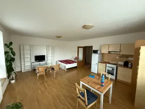 Pronájem bytu 1+kk, Příbram, Gen. R. Tesaříka, 34 m2