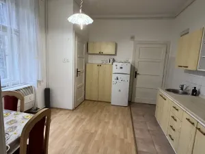 Pronájem bytu 1+1, Olomouc, 17. listopadu, 42 m2