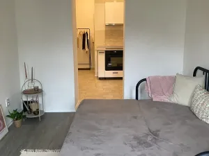 Pronájem bytu 1+1, Litoměřice, Šaldova, 37 m2