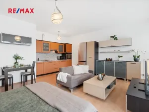 Pronájem bytu 1+kk, Praha - Motol, Kudrnova, 36 m2