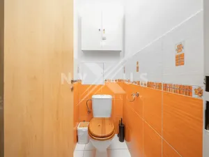 Pronájem bytu 3+1, Břežany II, 74 m2