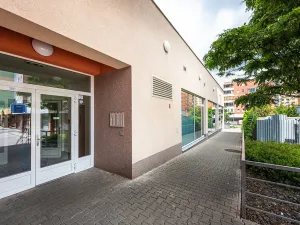 Pronájem bytu 2+kk, Praha - Kamýk, U Kamýku, 55 m2