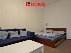 Pronájem bytu 1+1, Brno - Veveří, Antonínská, 53 m2