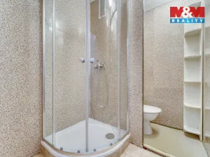 Pronájem bytu 1+kk, Plzeň - Doudlevce, Šimerova, 20 m2