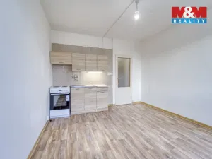 Pronájem bytu 1+kk, Plzeň - Doudlevce, Šimerova, 20 m2
