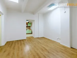 Pronájem bytu 2+kk, Praha - Bubeneč, Eliášova, 55 m2