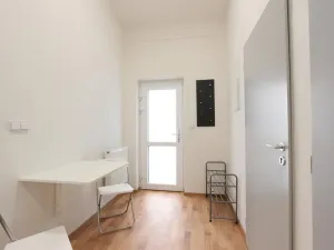Pronájem bytu 1+kk, Brno, Cejl, 10 m2