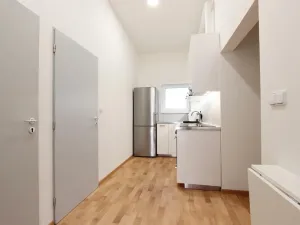 Pronájem bytu 1+kk, Brno, Cejl, 10 m2