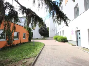 Pronájem bytu 1+kk, Brno, Cejl, 10 m2