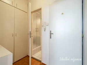 Pronájem bytu 1+1, Praha - Bohnice, Hlivická, 38 m2