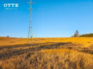 Prodej louky, Plzeň - Malesice, 106411 m2