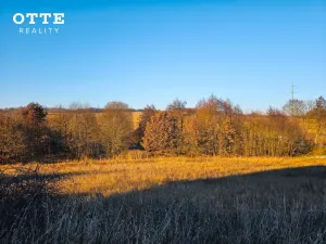 Prodej louky, Plzeň - Malesice, 106411 m2