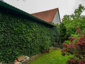 Prodej zemědělské usedlosti, Nová Sídla, 327 m2