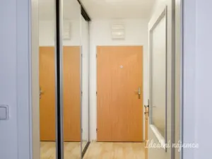 Pronájem bytu 1+kk, Brno - Staré Brno, Trýbova, 34 m2