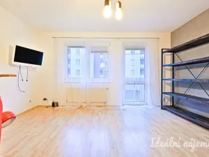 Pronájem bytu 1+kk, Brno - Staré Brno, Trýbova, 34 m2