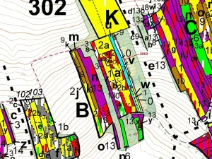 Dražba lesa, Koloveč, 703 m2