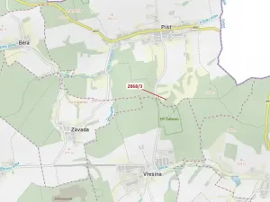 Dražba lesa, Píšť, 1321 m2