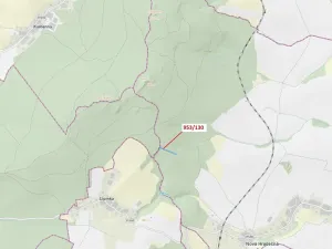 Dražba lesa, Nová Hradečná, 5079 m2