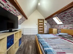 Pronájem rodinného domu, Louka u Litvínova, Sokolovská, 95 m2