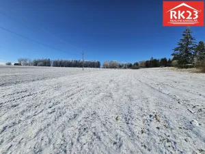 Prodej pozemku pro bydlení, Zádub-Závišín - Zádub, 1793 m2