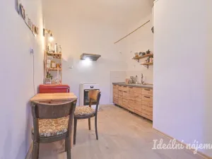 Pronájem bytu 1+1, Brno, Bratislavská, 40 m2