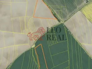 Prodej pole, Vstiš, 76424 m2