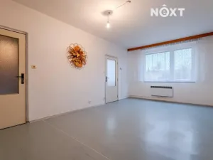 Prodej bytu 4+1, Hrušovany nad Jevišovkou, Mlýnská, 93 m2