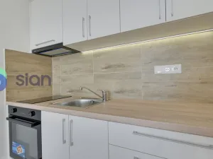 Pronájem bytu 1+kk, Ostrava - Moravská Ostrava, Sládkova, 29 m2