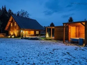 Prodej obchodního prostoru, Borotín - Kamenná Lhota, 194 m2