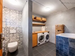 Prodej obchodního prostoru, Borotín - Kamenná Lhota, 194 m2