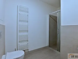 Pronájem bytu 1+kk, Olomouc - Hodolany, Holická, 42 m2