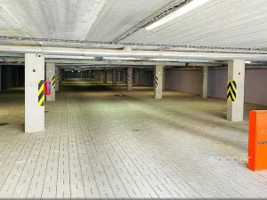 Pronájem garážového stání, Milovice - Mladá, Višňová, 14 m2