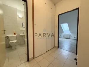 Pronájem bytu 1+kk, Plzeň - Jižní Předměstí, Havlíčkova, 21 m2