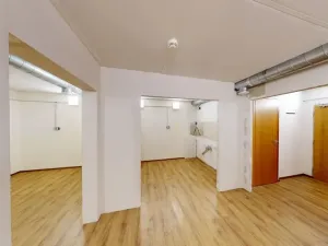 Prodej skladu, Praha - Žižkov, Malešická, 31 m2