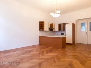 Pronájem bytu 3+kk, Praha - Holešovice, Dobrovského, 62 m2