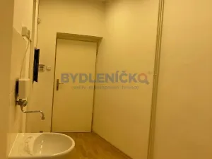 Pronájem komerční nemovitosti, České Budějovice, Hradební, 35 m2